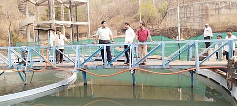 तळेगाव दाभाडे : जलशुद्धीकरण केंद्राला मुख्याधिकार्यांची भेट