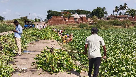 कोल्हापूर: पंचगंगा नदी जलपर्णी मुक्तीसाठी कुरुंदवाड पालिका सरसावली