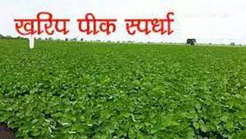 धुळे : खरीप हंगाम 2022-23 पीक स्पर्धेचा निकाल जाहीर