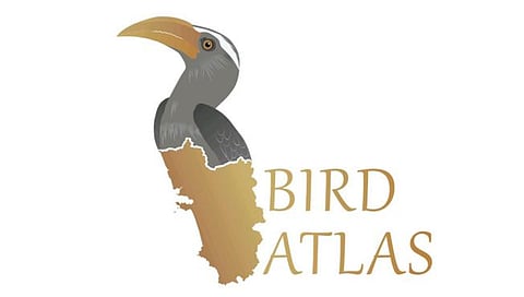 Birds Map Collection : गोव्यात साकारणार पक्षांचा नकाशासंग्रह; २२ पर्यावरण संस्थांची घोषणा