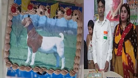 Agra News : बकऱ्याच्या चित्राचा केक कापून बकरी ईद साजरी; आग्र्यातील मुस्लिम कुटुंबाचा प्राणी हत्या न करण्याचा संदेश