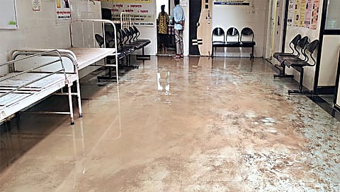 नाशिक : पेठ ग्रामीण रुग्णालयातील ओपीडी विभागाजवळ साचलेले पाणी.