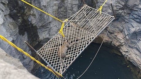 नाशिक : विहिरीत खाट सोडून गावकऱ्यांनीच बछड्याला काढलं बाहेर