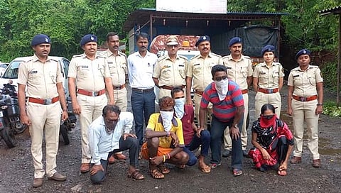 रत्नागिरी : खवले मांजर शिकार व खवलं तस्करी प्रकरणी पाचजण ताब्यात; एका महिलेचा समावेश