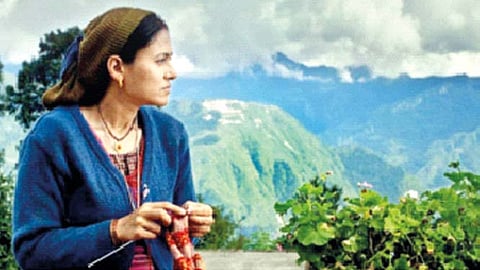 फायर इन द माऊंटन्स