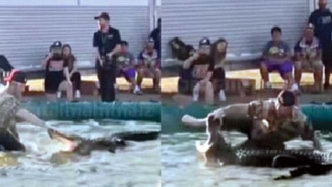 मगरीशी केली स्टंटबाजी अन् क्षणार्धात त्याचा पाय जबड्यात!