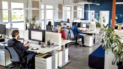 चार दिवसांच्या आठवड्याने पर्यावरणालाही होतो लाभ?