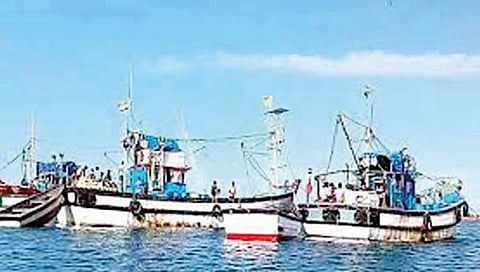 रत्नागिरी : बेकायदेशीर मासेमारी; 69 नौकांवर 61 लाख रुपयांचा दंड