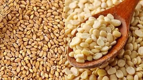 गहू, तूर, उडीद डाळ साठेबाजी