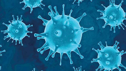 जैविक अस्त्र बनवताना कोरोना विषाणू ‘लिक’?