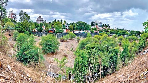 कचर्याचे इनर्ट मटेरियल