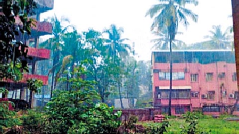 रत्नागिरी, सिंधुदुर्गात मान्सूनधारा; पुढील २ दिवस यलो अलर्ट