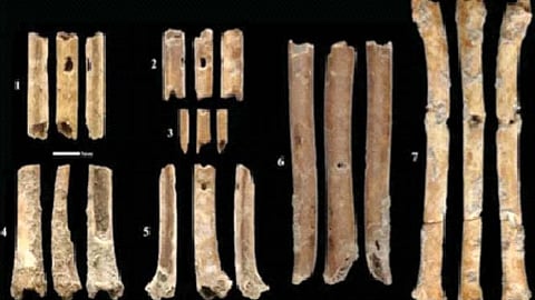 हाडे कोरून बनवलेल्या १२ हजार वर्षांपूर्वीच्या बासर्या