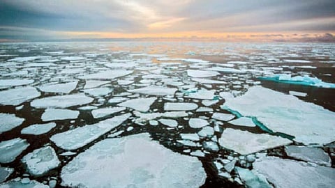 आर्क्टिक महासागर