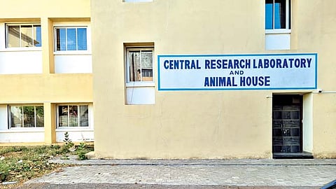 कोल्हापूर : कोरोना काळातील हजारो पीपीई कीटस् धूळ खात