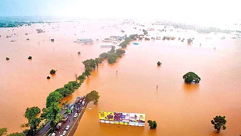 कोल्हापूर : चर्चा महापुराची; सावट मात्र दुष्काळाचे!
