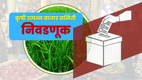 APMC Election : सोलापूर, बार्शी कृषी उत्पन्न बाजार समितीला सहा महिन्याची मुदतवाढ
