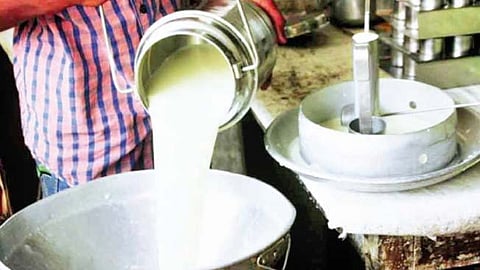 milk adulteration