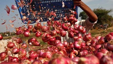 Nashik Onion news : कांदा सडतोय ! बळीराजा रडतोय !!