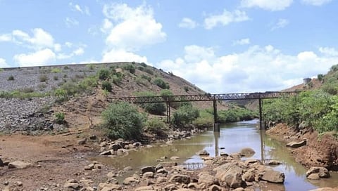 दुष्काळी स्थितीत धामणीचे महत्व अधोरेखित