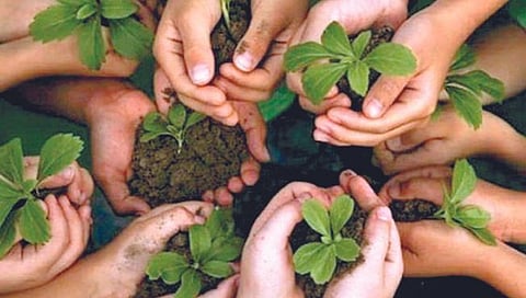 जागतिक पर्यावरण दिन : आता ठोस कृती हवी