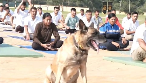International Yoga Day 2023