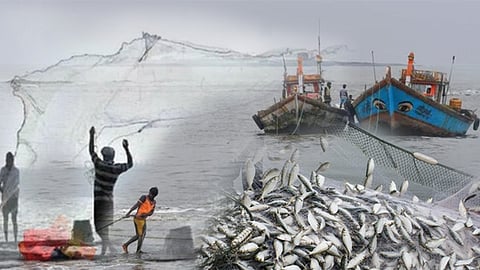Rain Update : पाऊस लाबंला; खाडीतील पारंपारिक मासेमारी ठप्प!