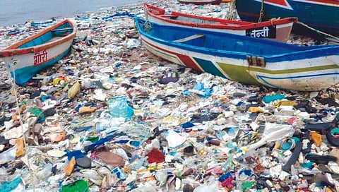 World Oceans Day : सागरी प्रदूषण जलचरांकरिताच नव्हे मानवासाठीही घातक