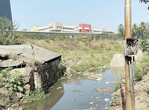 ओढ्याला सांडपाण्याचा पूर ! वडगाव शेरी परिसरातील चित्र