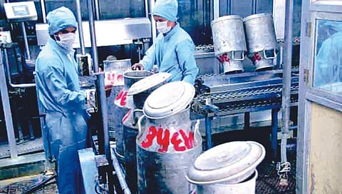 धवलक्रांती : ग्रामीण अर्थव्यवस्थेचा कणा