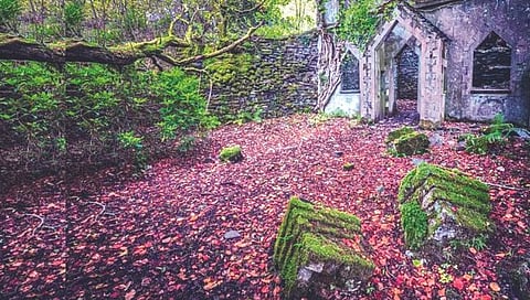 जंगलात सापडले ‘हरवलेले’ गाव!