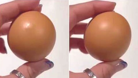 सुपर मार्केटमध्ये आढळले चक्क गोलाकार अंडे!