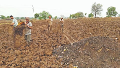 छत्रपती संभाजीनगर : मराठवाडा दुष्काळाच्या छायेत, भर पावसाळ्यात धावतायेत ९९ टँकर