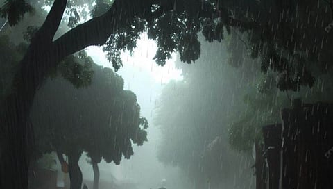 Kolhapur Rain : बळीराजा सुखावला! राधानगरी परिसरात पावसाची दमदार हजेरी