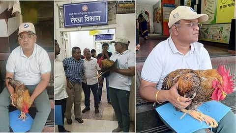 Sangli News : ‘कोंबड्या’सह फाईल घेऊन सांगलीचे नगरसेवक थेट महापालिकेत