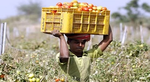 संग्रहित छायाचित्र