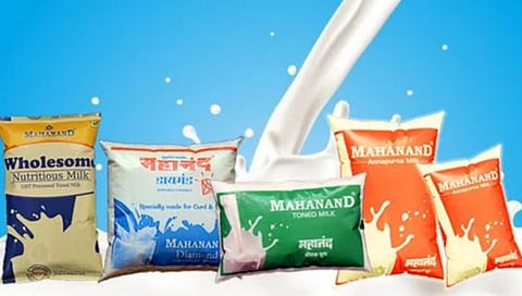 ‘महानंद’ला घरघर भाग ३ : ‘महानंद’चे संचालक मंडळ ‘तुपाशी’, कामगार मात्र उपाशी!