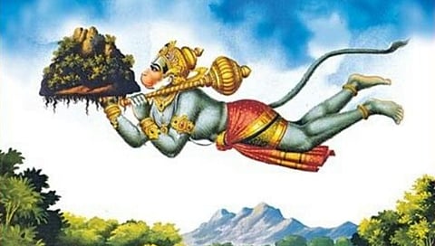 रामायणातील संजीवनी ‘सीबकथॉर्न’ हिमपर्वतात; लेहमधील वैज्ञानिक संस्थांचे संशोधन