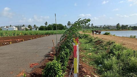 कोल्हापूर : शिवपार्वती तलावाच्या पश्चिमेला पाणलोट क्षेत्रात अनाधिकृत बांधकामे रद्द करावी; सर्वपक्षीय कृती समिती