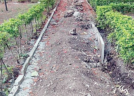 आकुर्डी : सांगा बरं..! आम्ही ज्येष्ठांनी चालायचं कुठून?