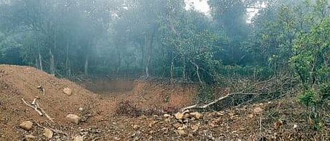 भले शाब्बास..! वृक्षारोपणासाठीच वृक्षतोड…भीमाशंकर अभयारण्यात वन विभागाचा अजब कारभार