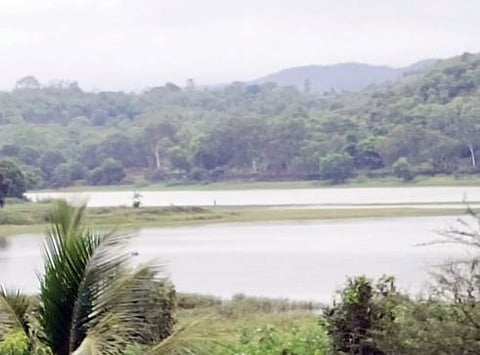 पुणे : पानशेत, वरसगाव धरण खोर्यात पाऊस ओसरला