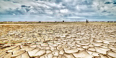 Pune News : पुणे जिल्ह्यात सात तालुक्यांत दुष्काळ; पंचनामे करण्याचे आदेश