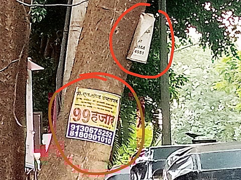 पुण्यात जाहिरात फलकांनी कोंडला झाडांचा श्वास! पालिका प्रशासनाचे दुर्लक्ष