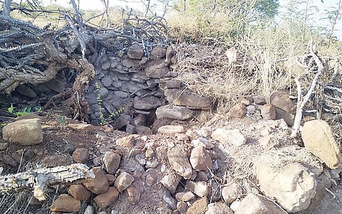 लोणी-धामणी : गुप्त धनाच्या आशेने शेतात खोदकाम; अंधश्रद्धेला बळी पडून तिसऱ्यांदा प्रयत्न