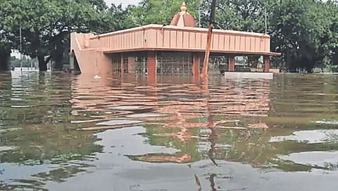 Monsoon Rain Update : गुजरातमध्ये मुसळधार, आसाम पुराच्या विळख्यात; १५ जणांचा मृत्यू