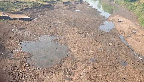दत्तवाड येथील दूधगंगा नदीचे पात्र कोरडे