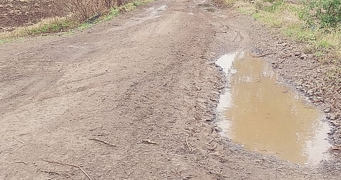 जुनी नगर वाट रस्ता दुरुस्ती करा; जेऊरमधील विद्यार्थ्यांसह नागरिकांचे हाल