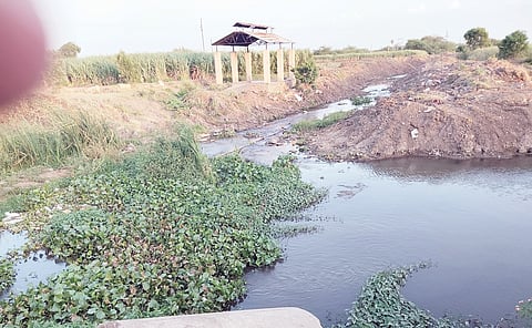 बारामतीत कोरड उसाला अन् पाणी ओढ्याला!