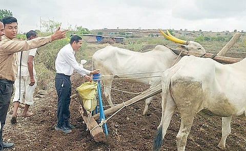 वाळकी : कृषी अधिकार्यांची चाड्यावर मूठ; खरिपाच्या पेरणीला सुरुवात
